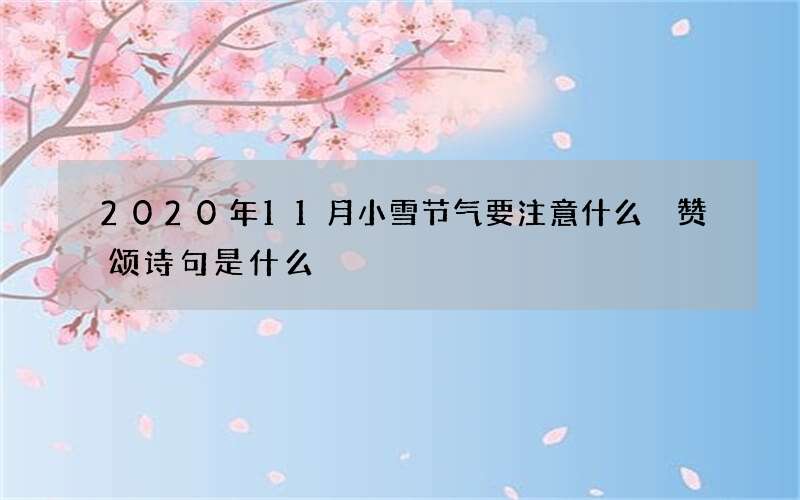 2020年11月小雪节气要注意什么 赞颂诗句是什么